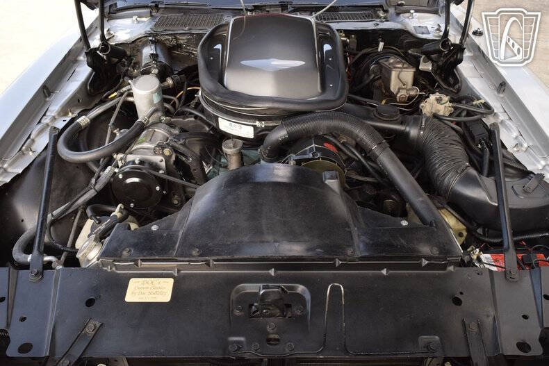 1979 Pontiac Firebird