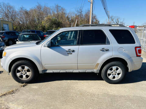 2009 Ford Escape XLT