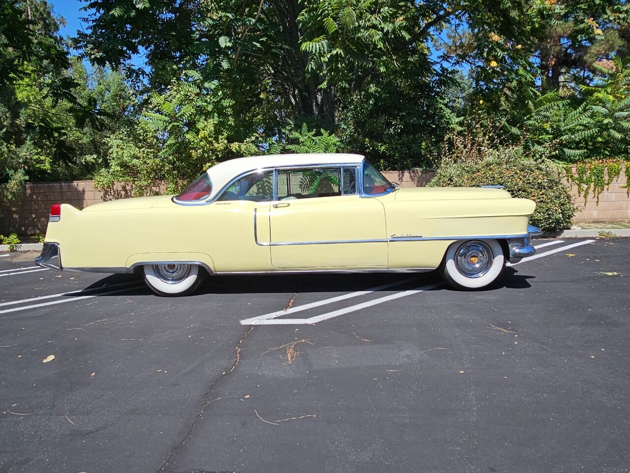 1955 Cadillac DeVille 21