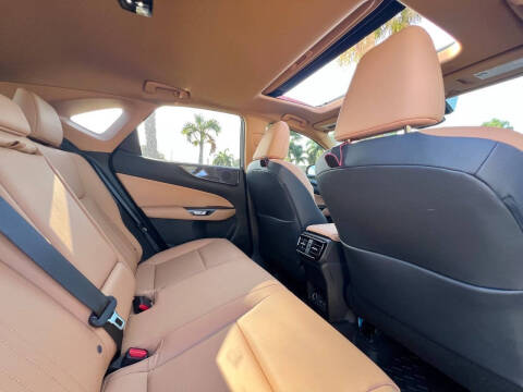 2025 Lexus NX 250 Premium