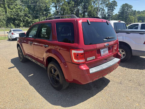 2011 Ford Escape XLT
