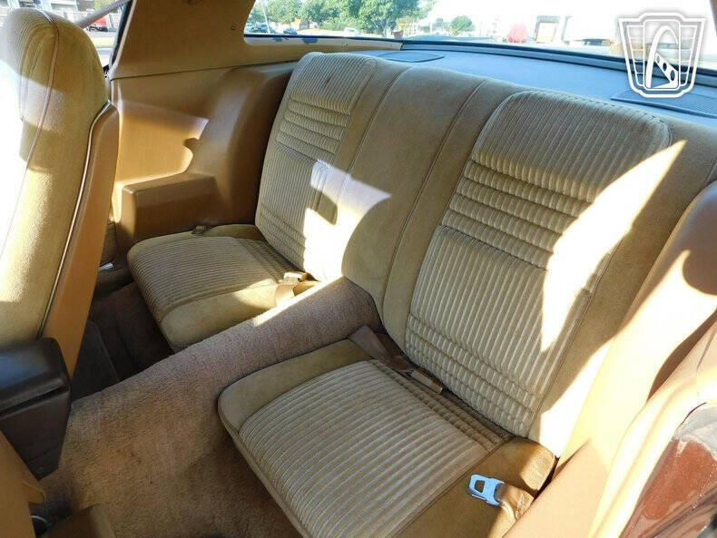 1981 Pontiac Firebird Trans Am