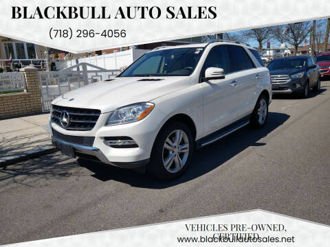 2013 Mercedes-Benz M-Class for sale at Blackbull Auto Sales in Ozone Park NY