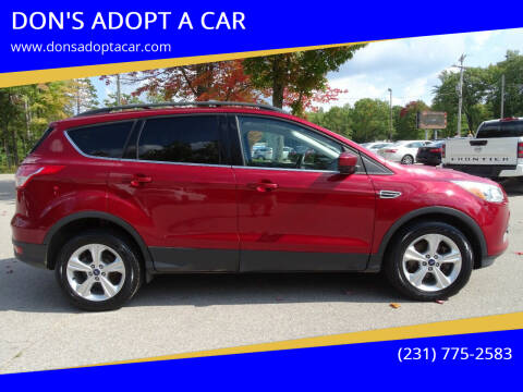 2015 Ford Escape for sale at DON'S ADOPT A CAR in Cadillac MI