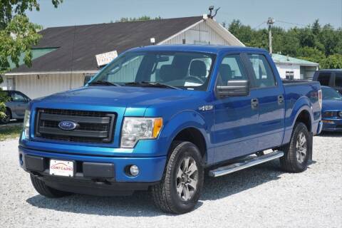 2014 Ford F-150 for sale at Low Cost Cars in Circleville OH