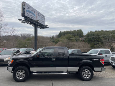 2012 Ford F-150 for sale at R C MOTORS in Vilas NC