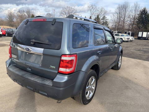 2010 Ford Escape Limited