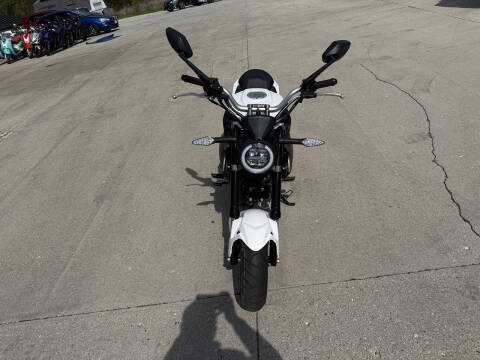 2022 Wolf Striker