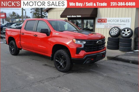 2022 Chevrolet Silverado 1500 for sale at Nick's Motor Sales in Kalkaska MI