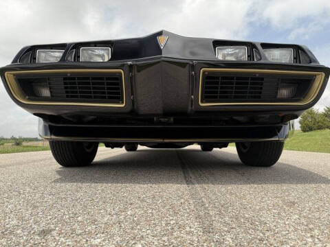 1981 Pontiac Firebird Trans Am