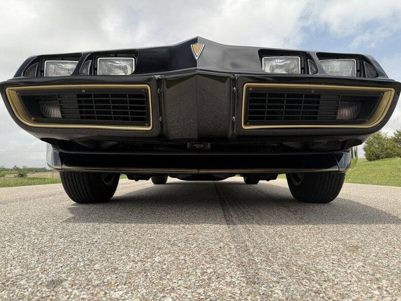 1981 Pontiac Firebird Trans Am