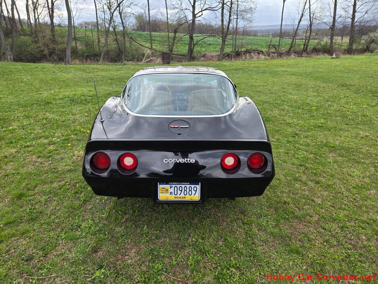 1981 Chevrolet Corvette 14