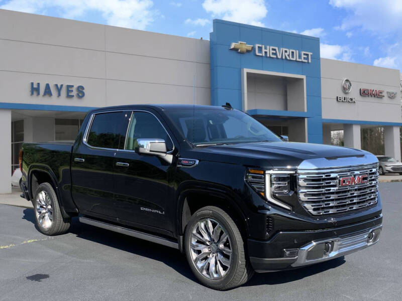 2024 GMC Sierra 1500 for sale at HAYES CHEVROLET Buick GMC Cadillac Inc in Alto GA