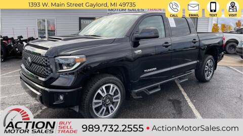 2020 Toyota Tundra for sale at Action Motor Sales in Gaylord MI