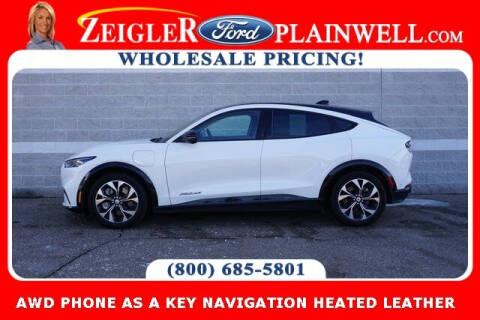 2022 Ford Mustang Mach-E for sale at Zeigler Ford of Plainwell- Jeff Bishop in Plainwell MI