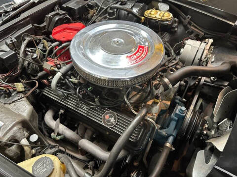 1981 Chevrolet Corvette