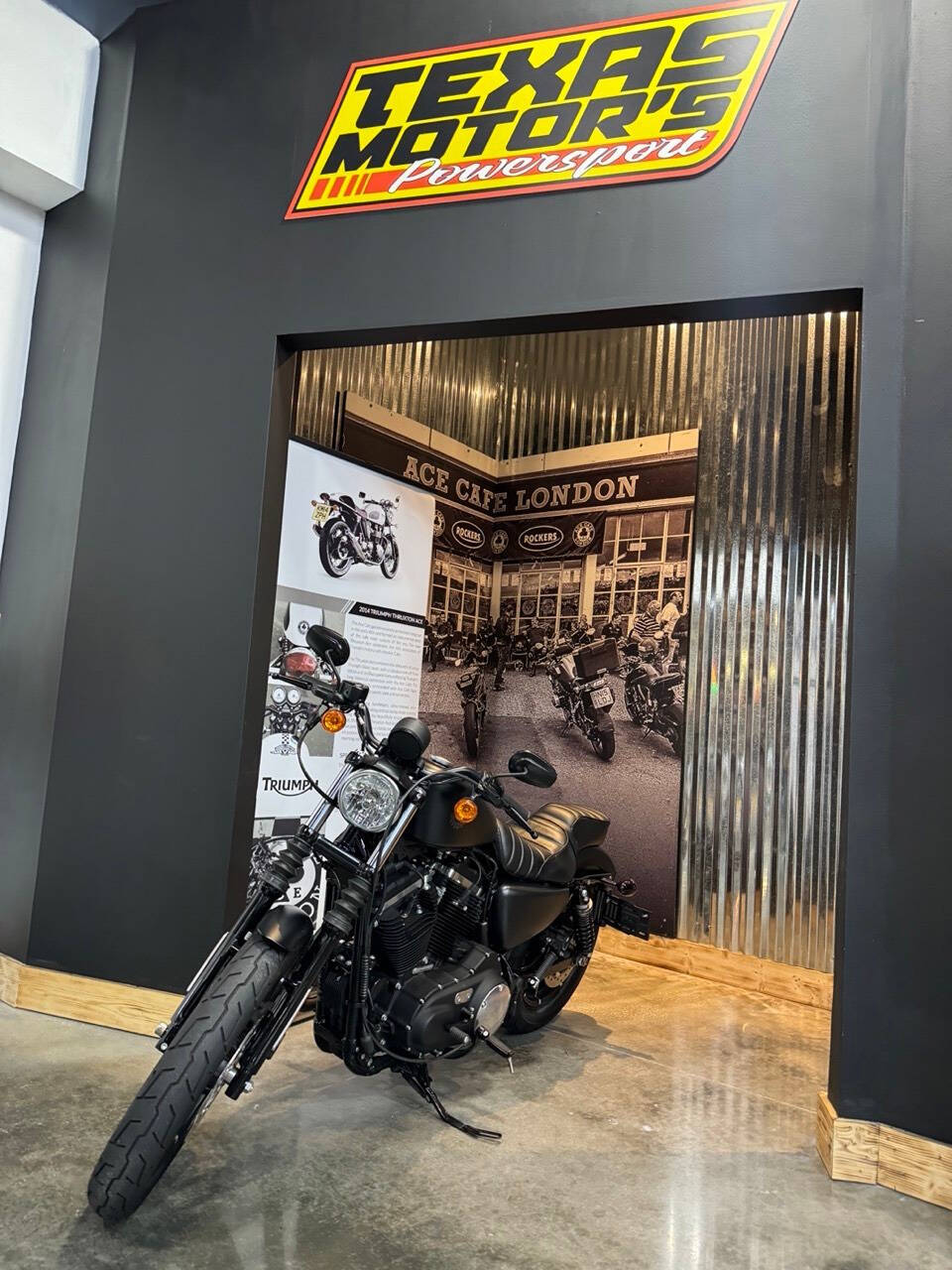 2022 Harley-Davidson XL 883 Sportster for sale at TEXAS MOTORS POWERSPORT in ORLANDO, FL