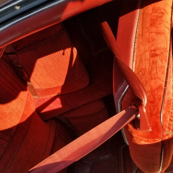 1980 Pontiac Firebird