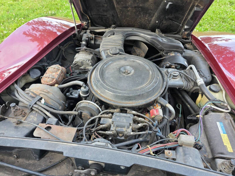 1981 Chevrolet Corvette