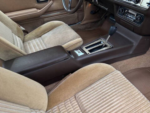 1981 Pontiac Firebird Trans Am