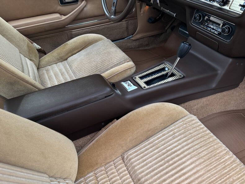 1981 Pontiac Firebird Trans Am