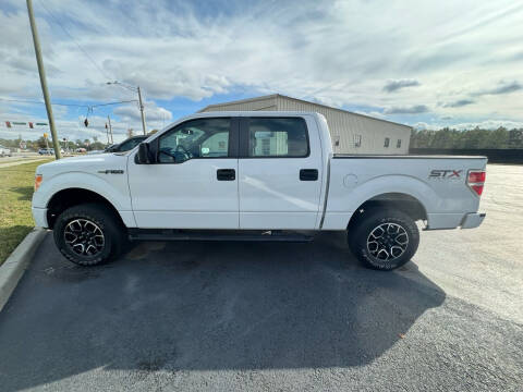 2014 Ford F-150 for sale at Mercer Motors in Moultrie GA