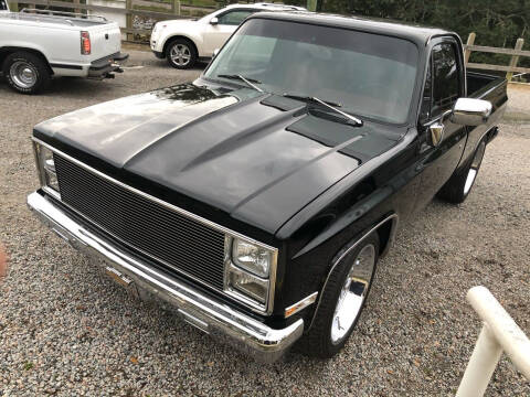1986 Chevrolet C/K 10 Series for sale at MUSCLE CARS USA1 in Murrells Inlet SC