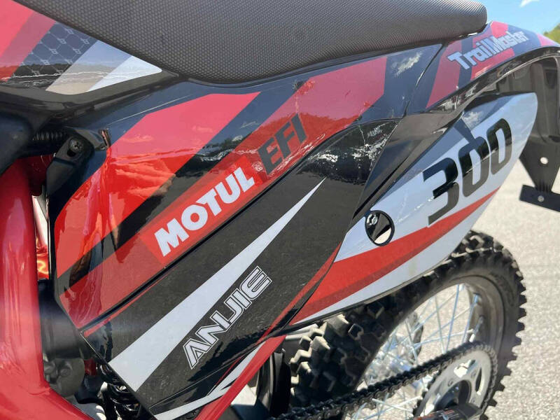 2024 TrailMaster TM38EX-300