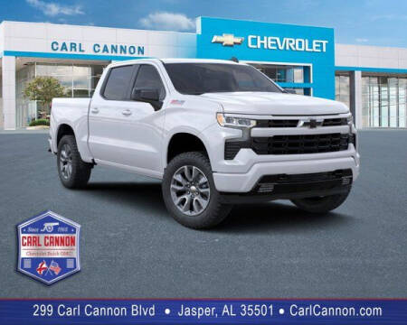 2023 Chevrolet Silverado 1500 for sale at Carl Cannon in Jasper AL