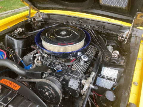 1900 Shelby GT350H