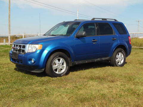2011 Ford Escape XLT