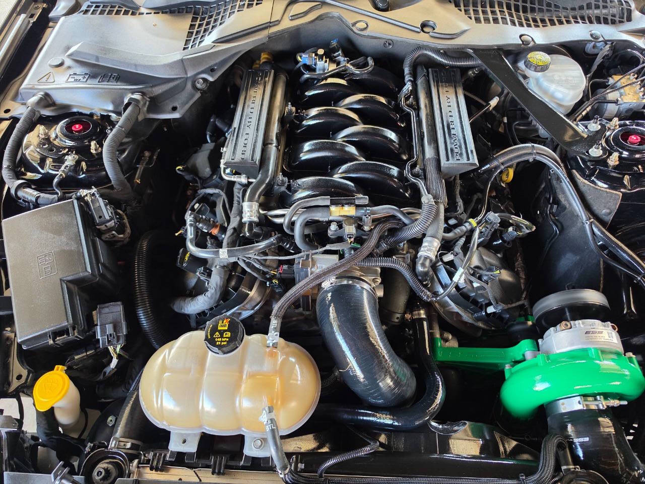 Black 2019 Ford Mustang BULLITT BULLITT 2dr Fastback 2