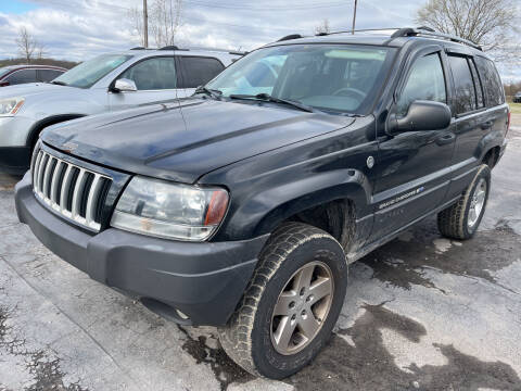 2003 Jeep Grand Cherokee for sale at HEDGES USED CARS in Carleton MI