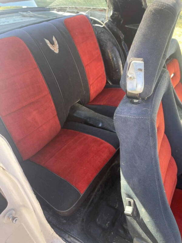 1981 Pontiac Firebird Trans Am  indy pace c