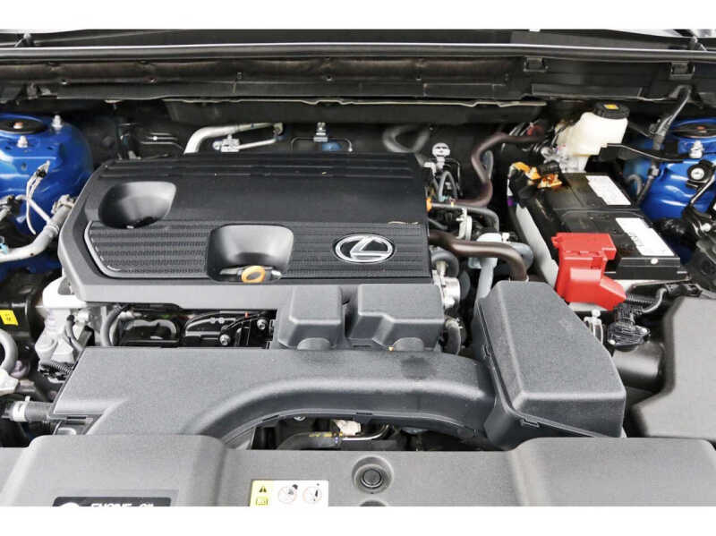 2025 Lexus NX 250 Premium