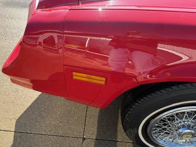 1981 Chevrolet Camaro Berlinetta