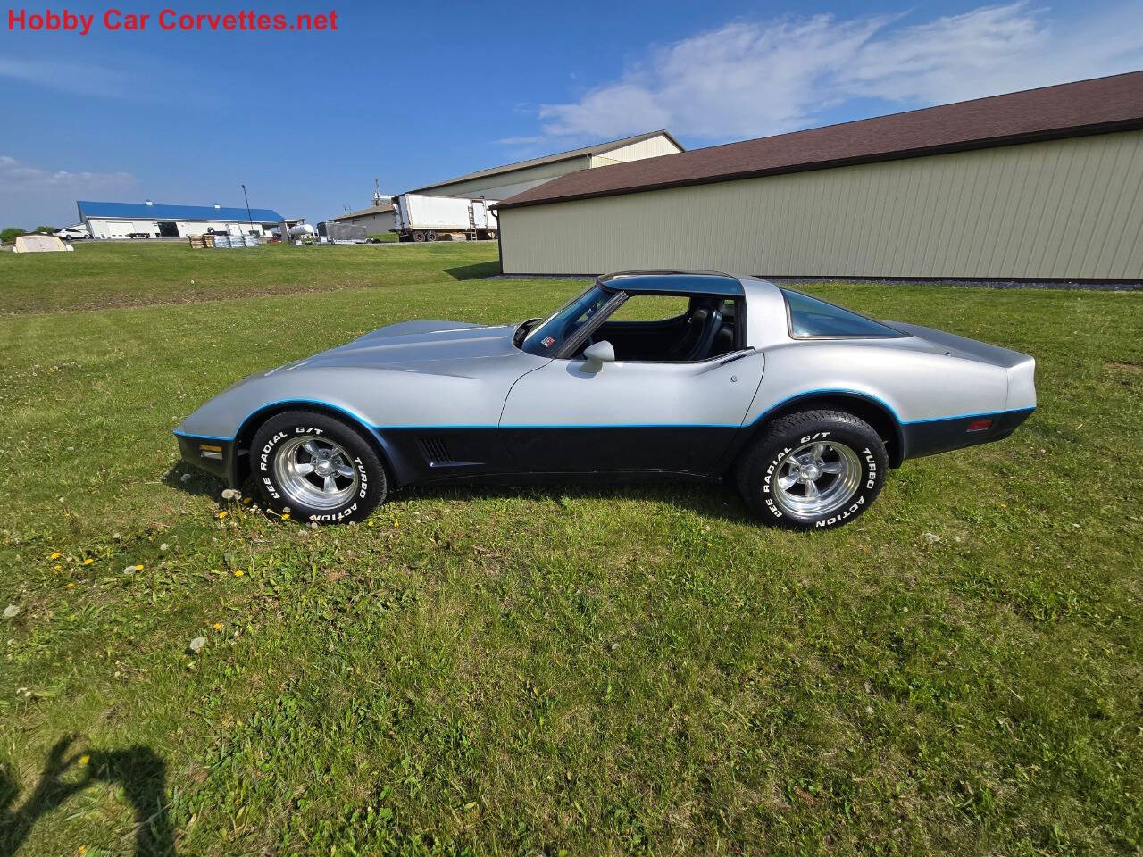 1981 Chevrolet Corvette 3