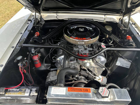 1965 Ford Shelby GT350