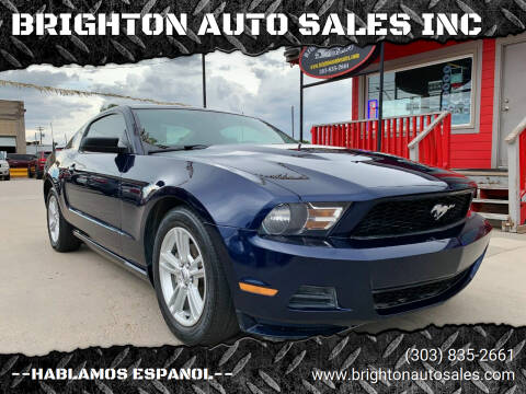 2010 Ford Mustang for sale at BRIGHTON AUTO SALES INC in Brighton CO