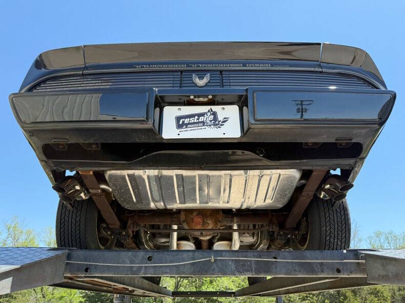 1981 Pontiac Firebird Trans Am