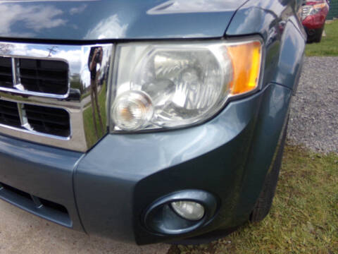 2011 Ford Escape XLT