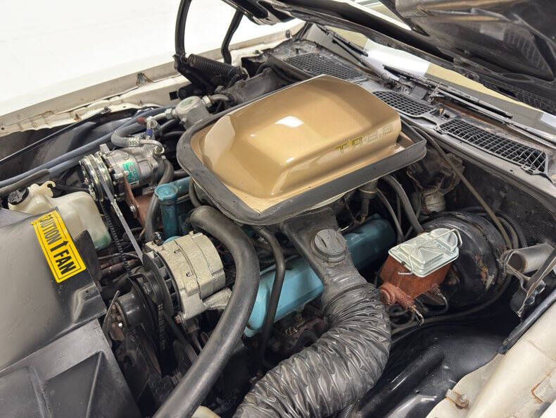 1980 Pontiac Firebird