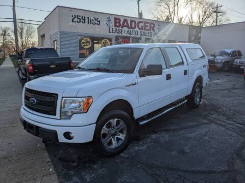 2014 Ford F-150 for sale at BADGER LEASE & AUTO SALES INC in West Allis WI