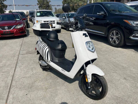 2020 Zebra E-bike
