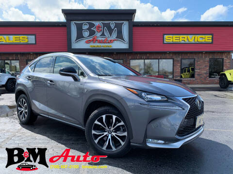 2016 Lexus NX 200t for sale at B & M Auto Sales Inc. in Oak Forest IL