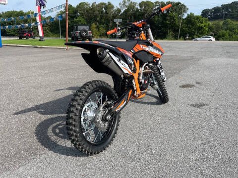 2024 TrailMaster TM 38E-300