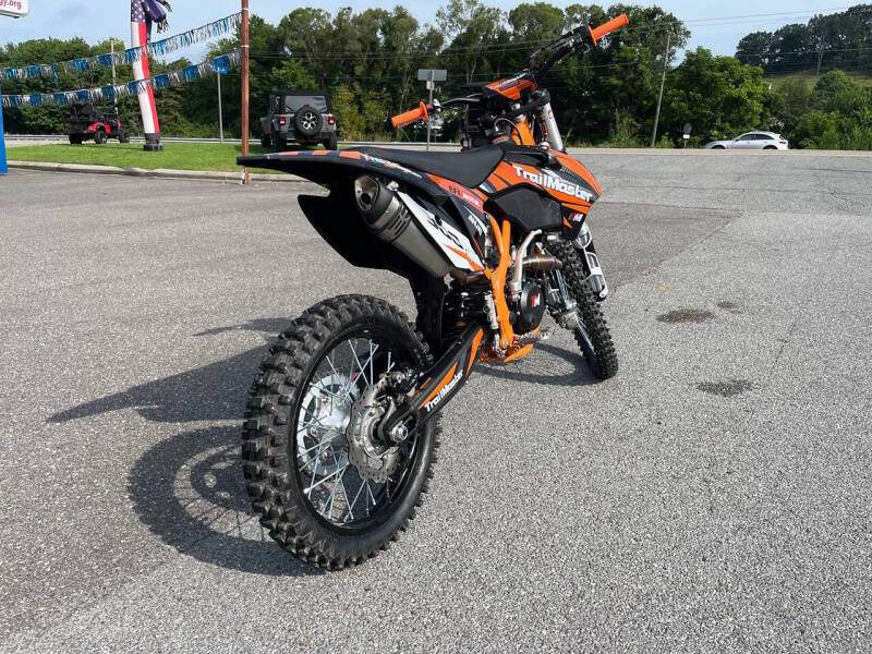 2024 TrailMaster TM 38E-300