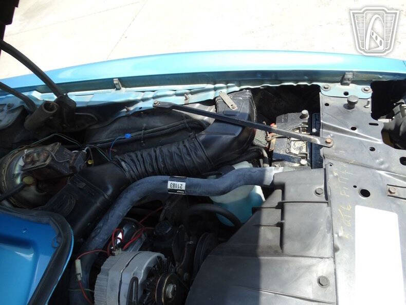 1979 Pontiac Firebird