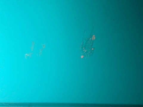 1958 Chevrolet Biscayne