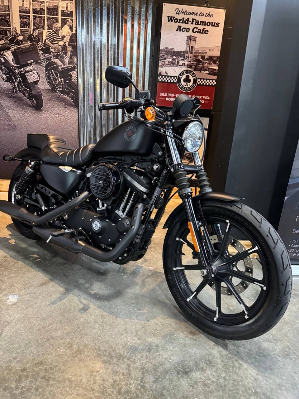 2022 Harley-Davidson XL 883 Sportster for sale at TEXAS MOTORS POWERSPORT in ORLANDO, FL